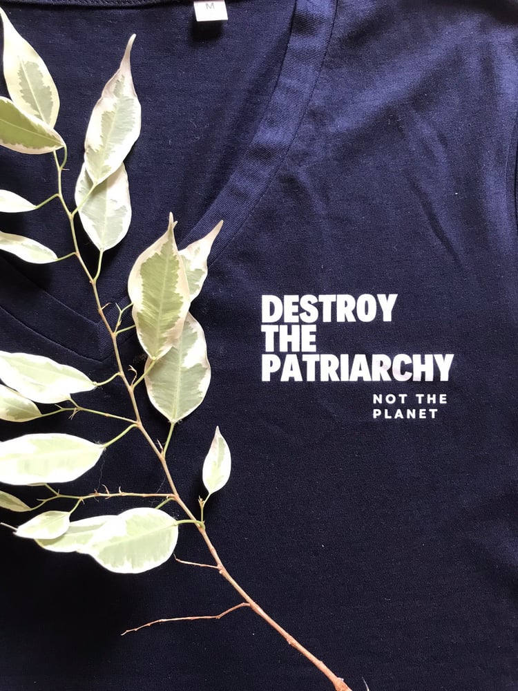 Tee-shirt DESTROY THE PATRIARCHY NOT THE PLANET