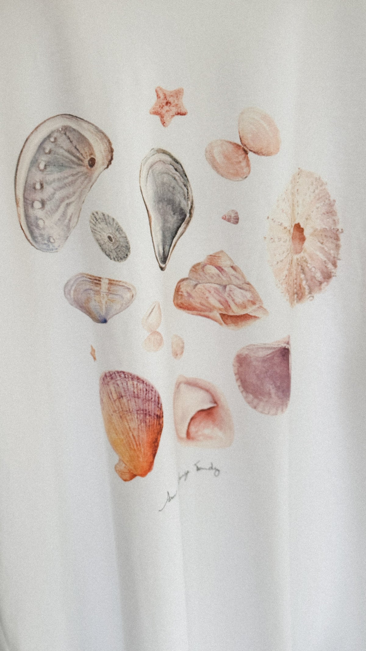 Tee-shirt MES COQUILLAGES - Collab' Anne-Solange Tardy